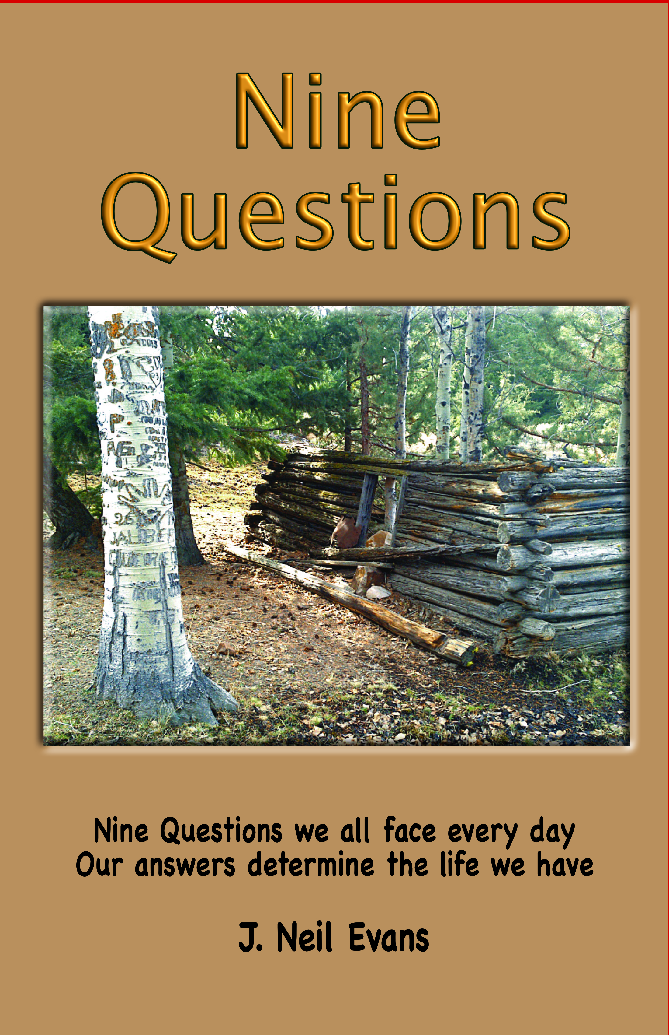Picture of Nine Questions Book Cover