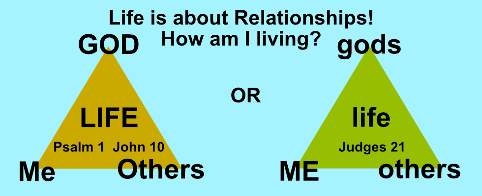 Diagram of LIFE vs life
